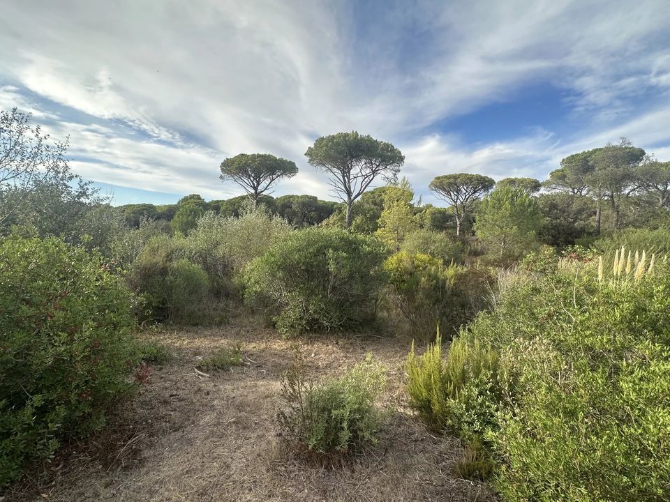 Helårsgrund i Frejus, Var - foto 4