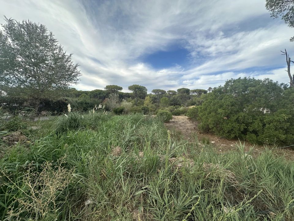 Helårsgrund i Frejus, Var - foto 5