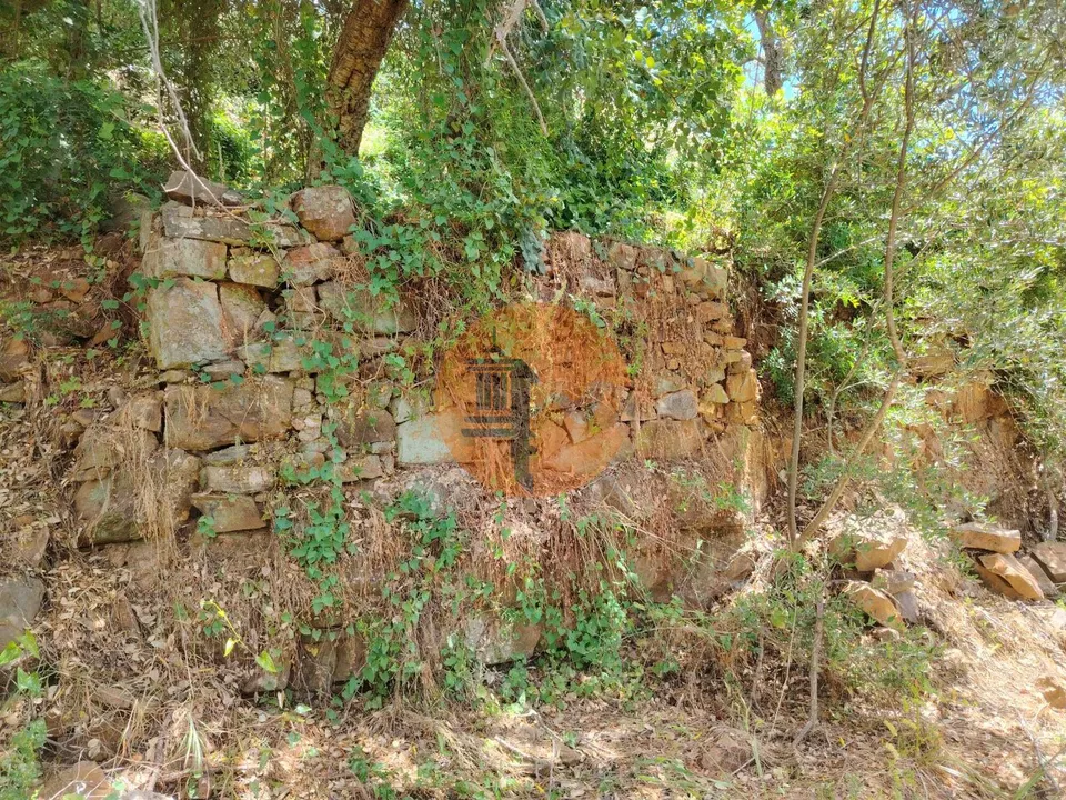Terreno en Santa Catarina da Fonte do Bispo, Faro - foto 2