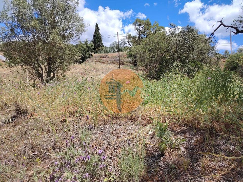 Terreno en Santa Catarina da Fonte do Bispo, Faro - foto 4