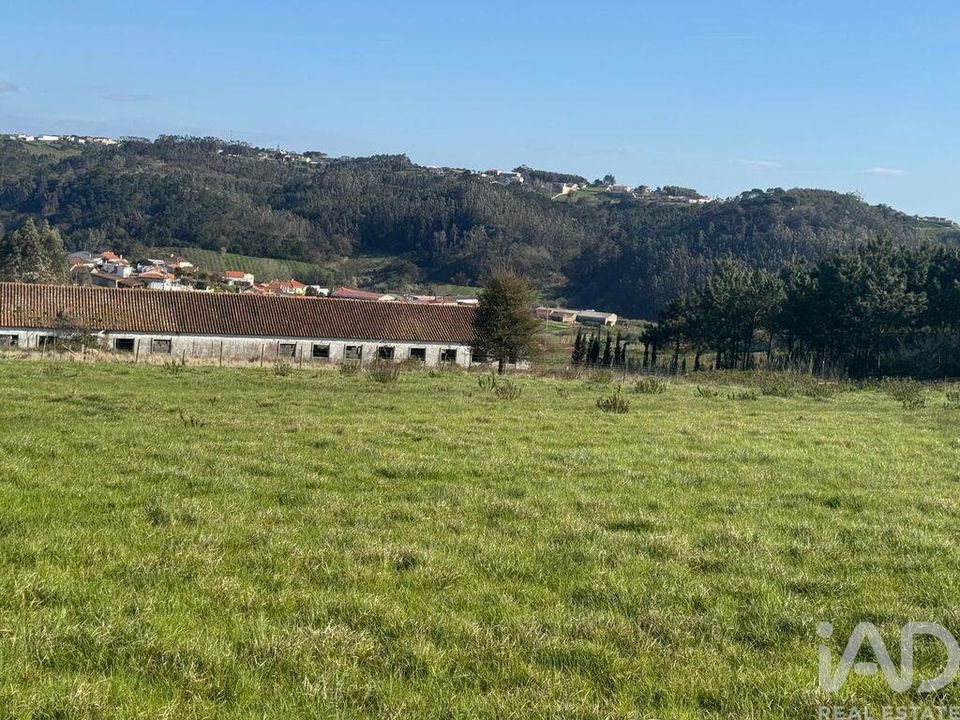 Helårsgrund i Alcobaca, Leiria - foto 4