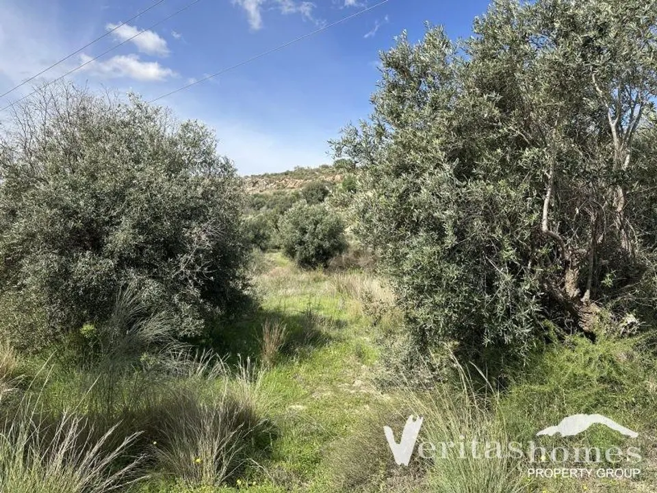Landejendom i Los Gallardos, Almeria - foto 3