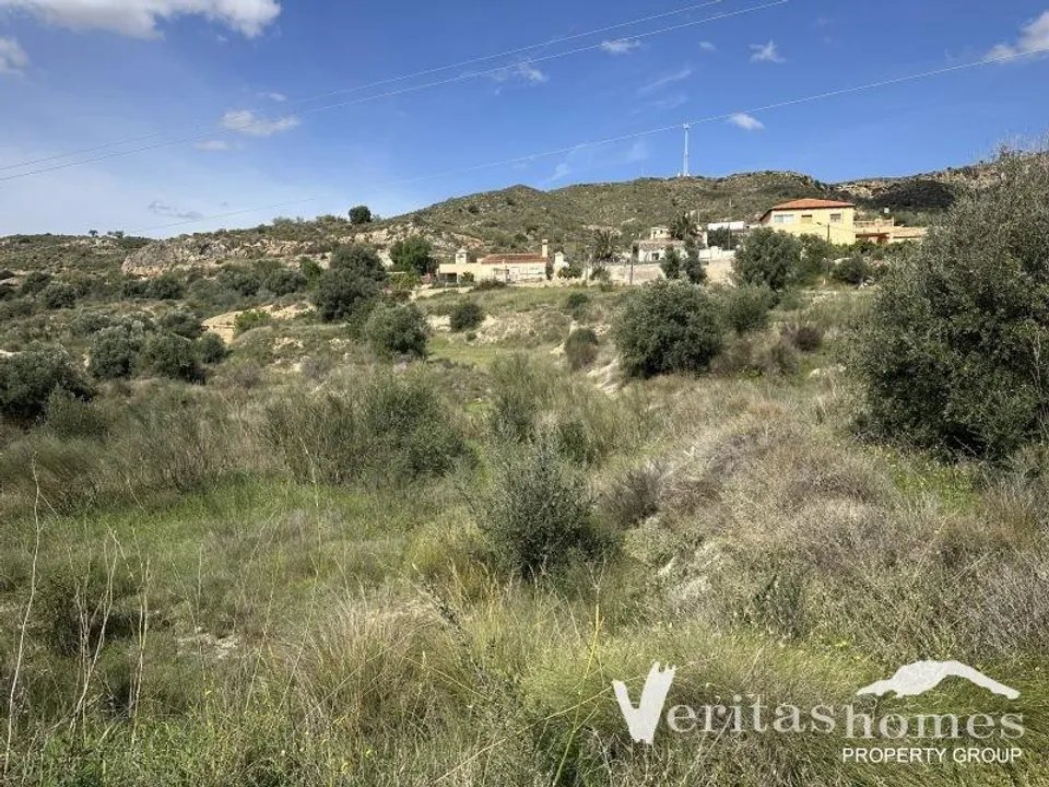 Landejendom i Los Gallardos, Almeria - foto 5
