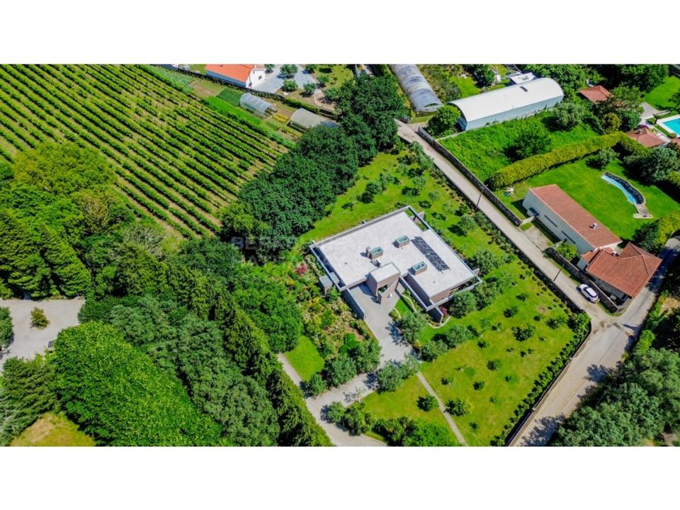 Farm i Barroselas, Viana do Castelo - foto 5