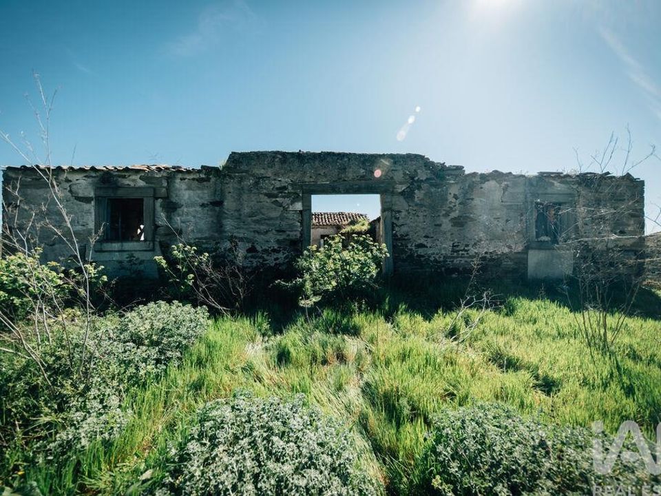 Helårsgrund i Vila Nova de Foz Coa, Guarda - foto 4