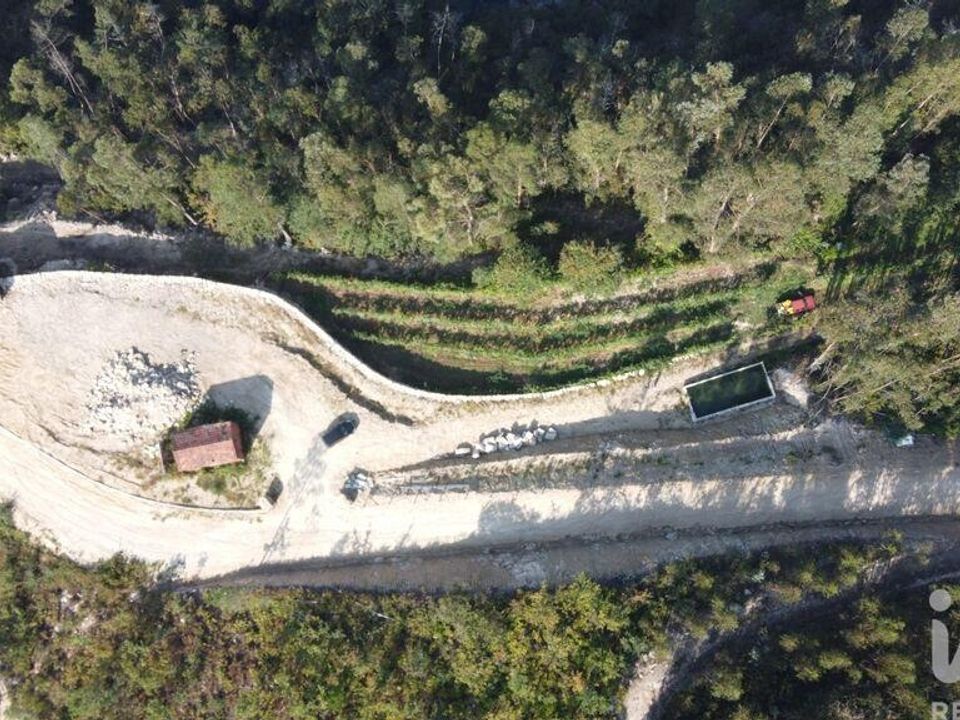 Farm i Oliveira de Frades, Viseu - foto 3