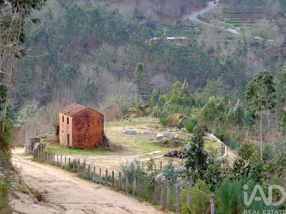 Farm i Oliveira de Frades, Viseu - foto 4
