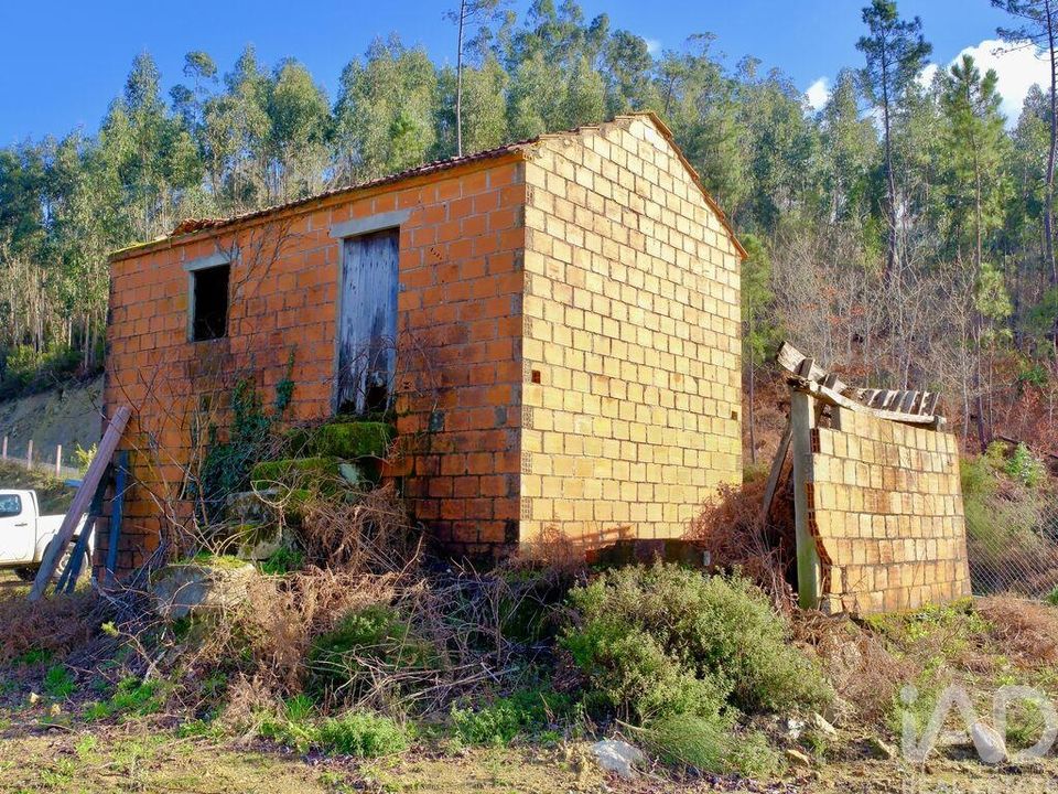 Farm i Oliveira de Frades, Viseu - foto 5
