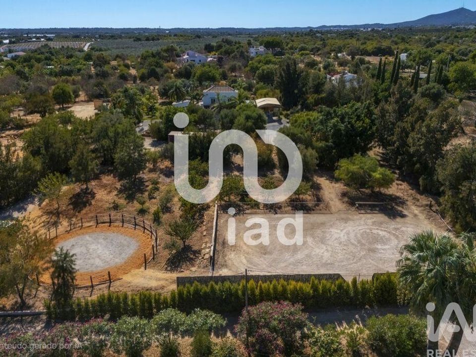 Byhus i Tavira, Faro - foto 3