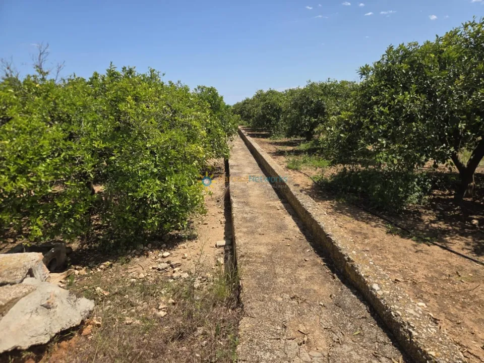 Helårsgrund i Oliva, Valencia - foto 4