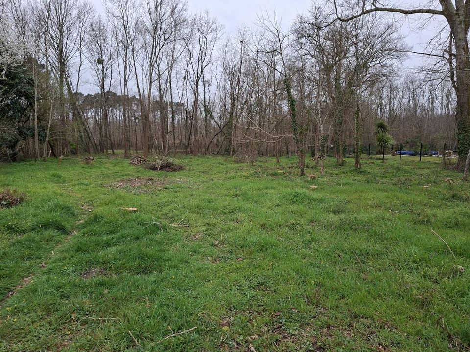 Helårsgrund i Saint-Selve, Gironde - foto 2
