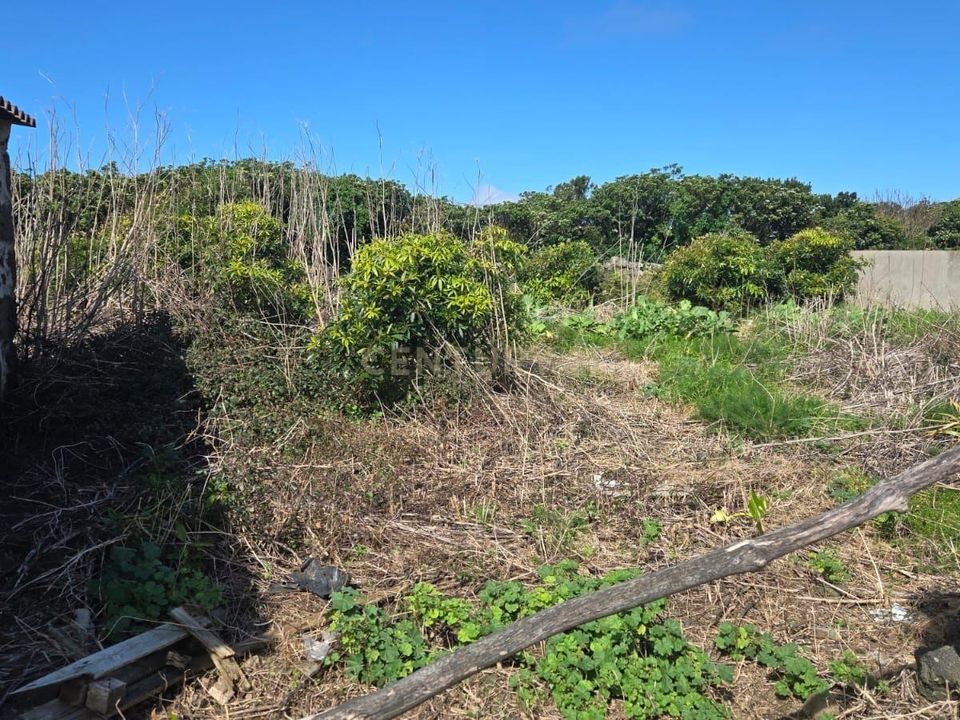 Villa a Santa Cruz da Graciosa, Graciosa - foto 4