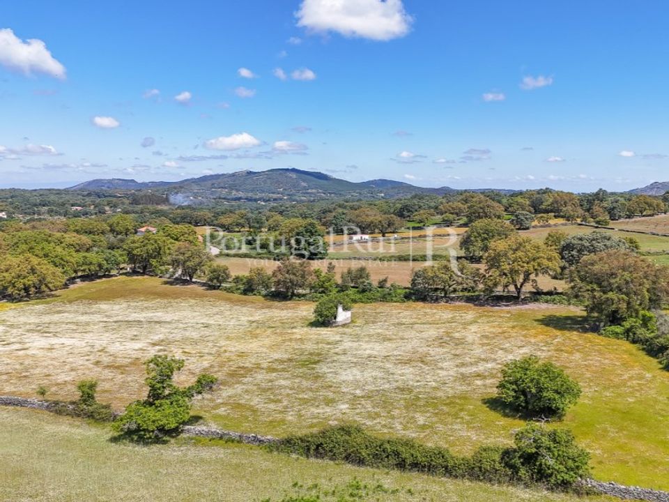 Farm i Marvao, Portalegre - foto 3