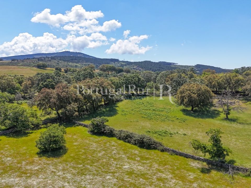 Farm i Marvao, Portalegre - foto 4