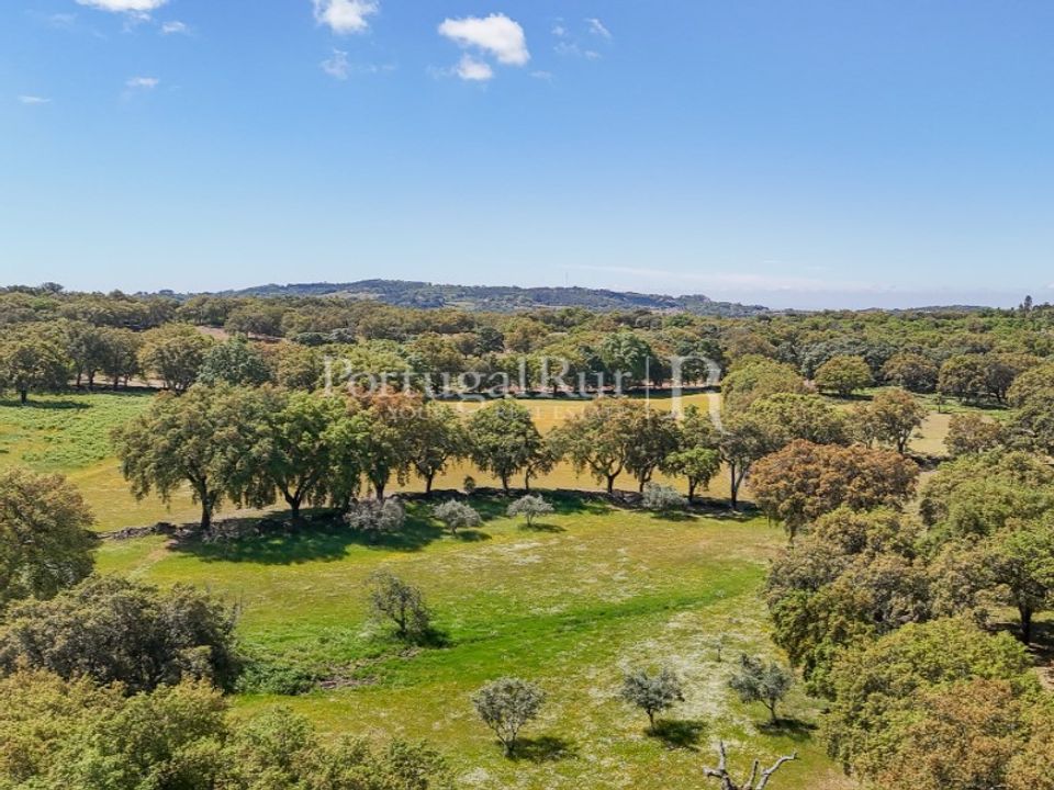 Farm i Marvao, Portalegre - foto 5