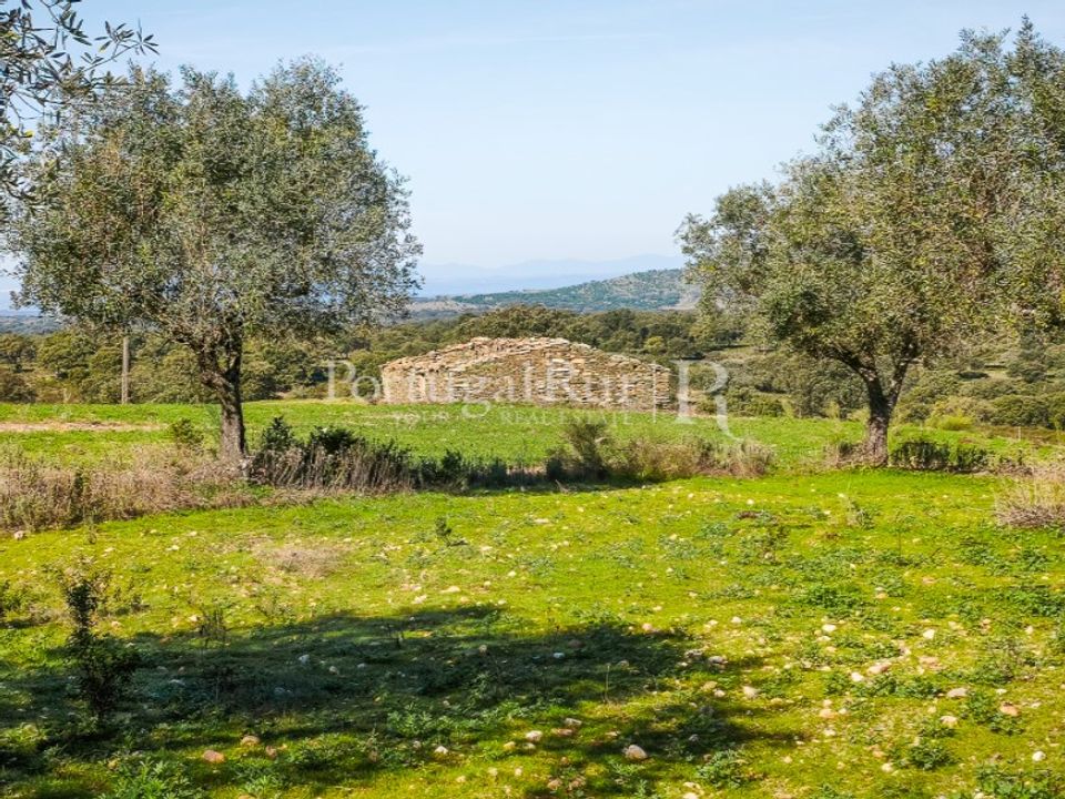 Landejendom i Rosmaninhal, Castelo Branco - foto 1