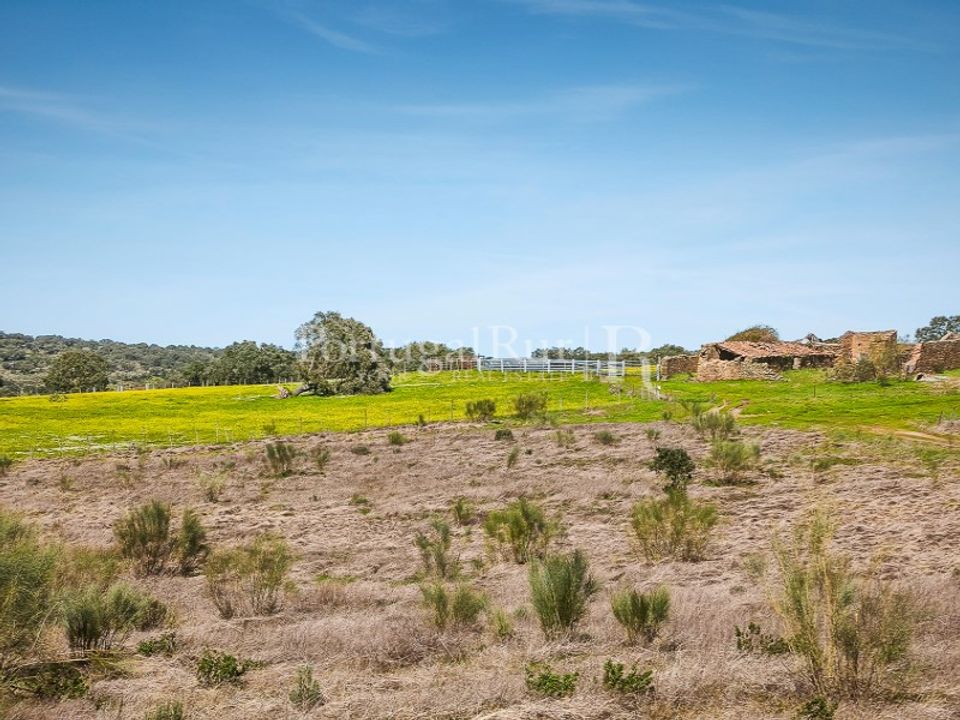 Landejendom i Rosmaninhal, Castelo Branco - foto 2