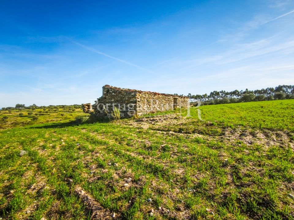 Landejendom i Rosmaninhal, Castelo Branco - foto 4