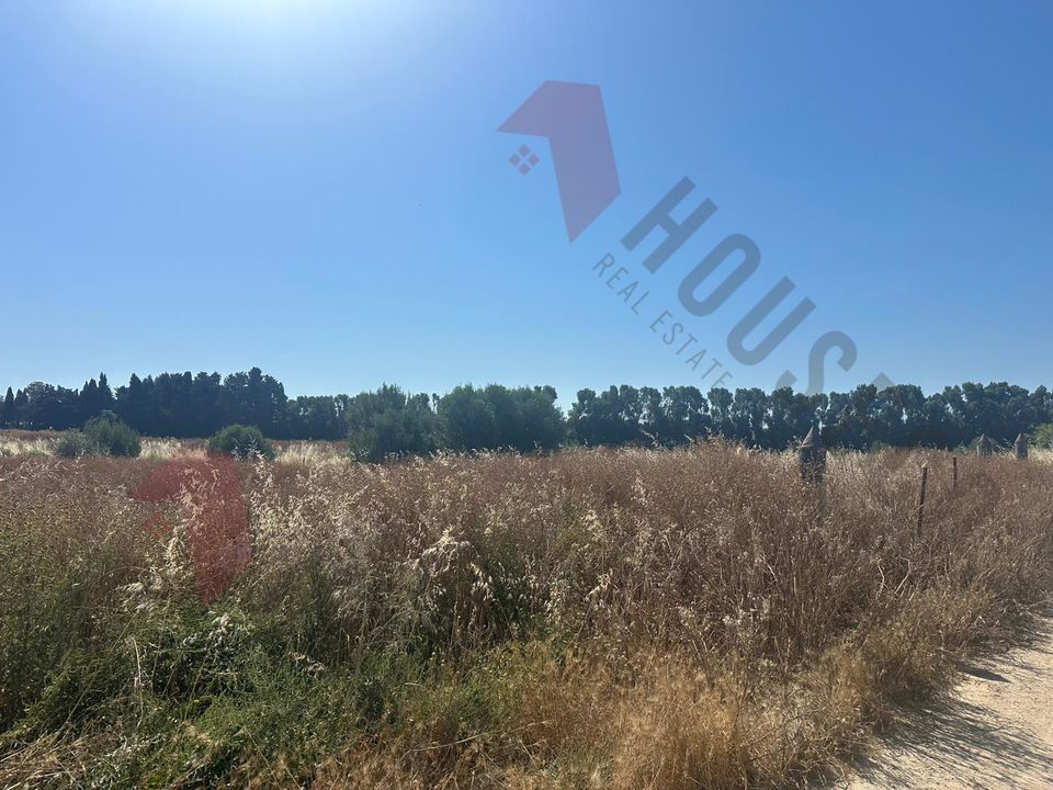 Erhvervsejendom i Quartu Sant'Elena, Cagliari - foto 2