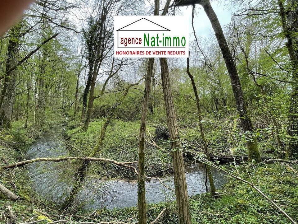 Helårsgrund i Triguères, Loiret - foto 1