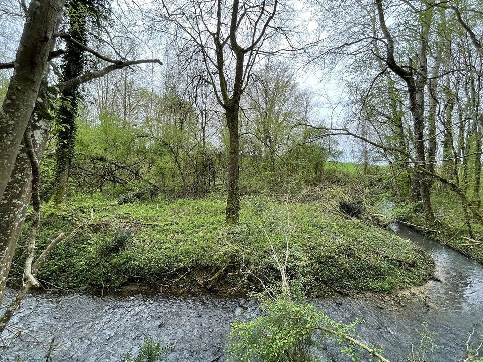 Helårsgrund i Triguères, Loiret - foto 2