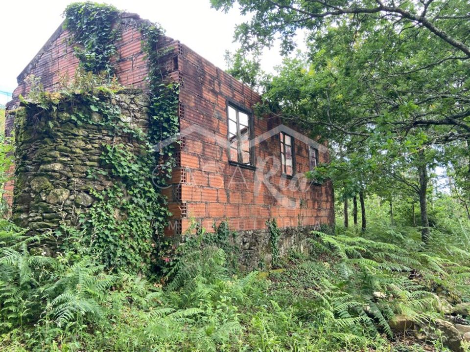 Villa i Silva Escura e Dornelas, Aveiro - foto 4