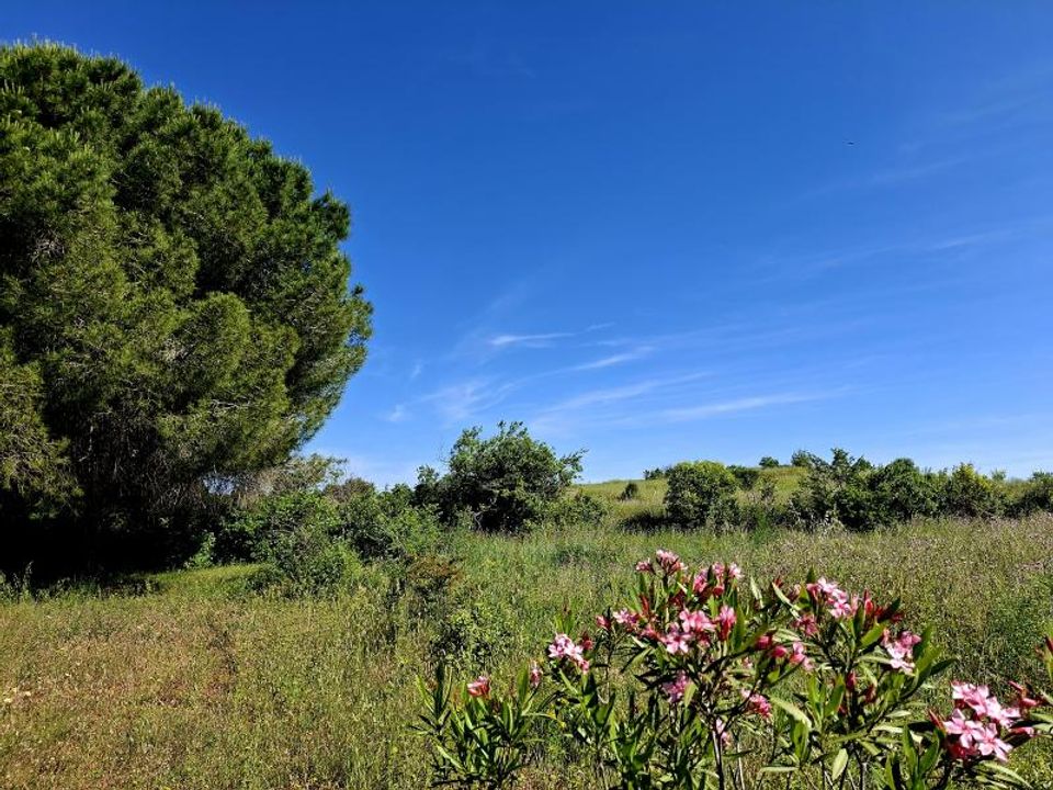 Helårsgrund i Beziers, Herault - foto 1