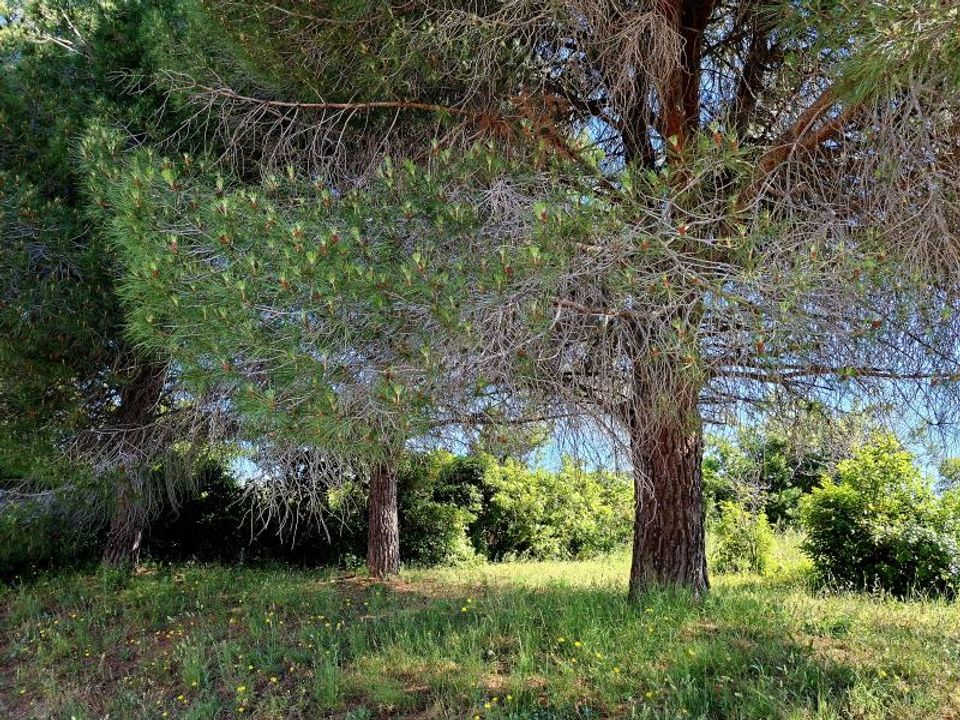 Helårsgrund i Beziers, Herault - foto 3
