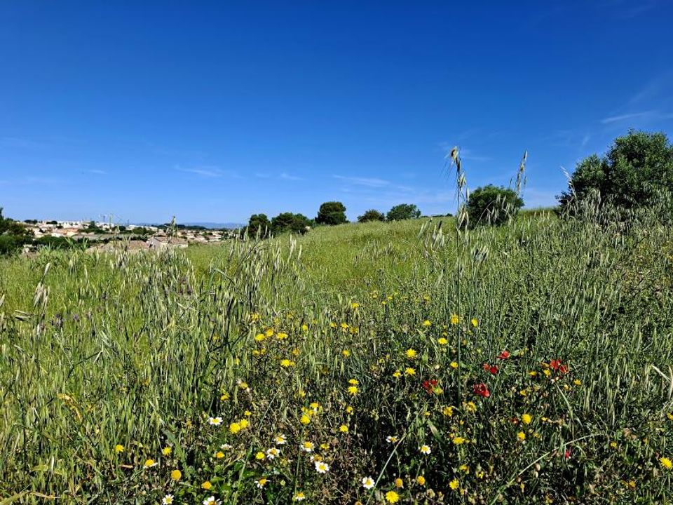 Helårsgrund i Beziers, Herault - foto 4