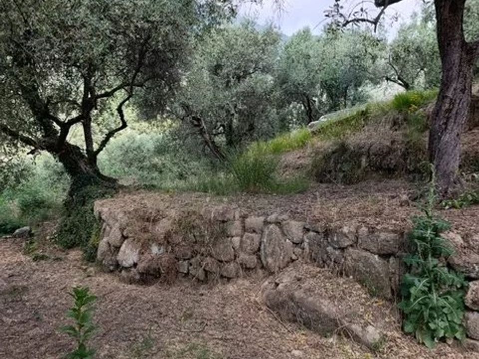 Helårsgrund i Coaraze, Alpes-Maritimes - foto 5