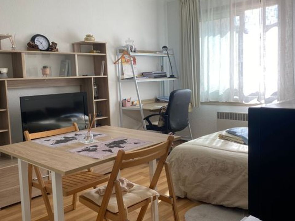 Studio i Villers-lès-Nancy, Meurthe-et-Moselle - foto 1