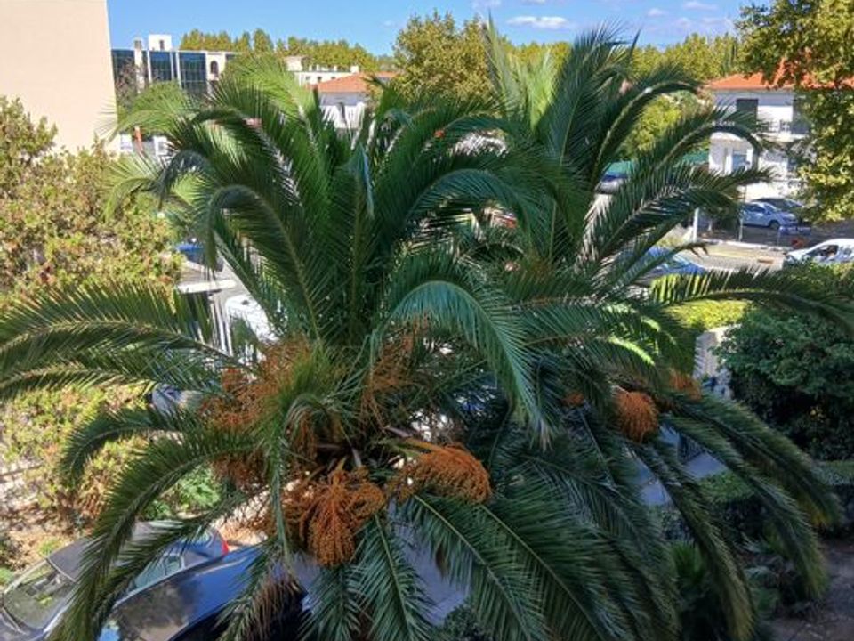 Lejlighed i Frejus, Var - foto 1