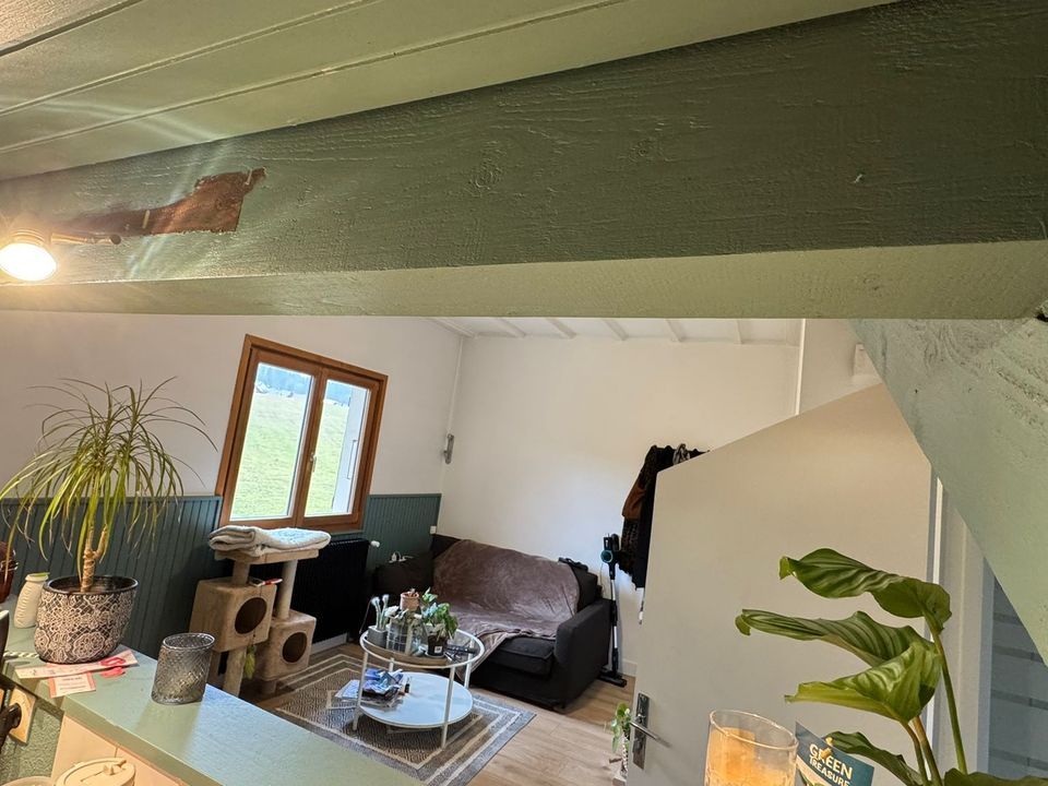 Lejlighed i Métabief, Doubs - foto 3