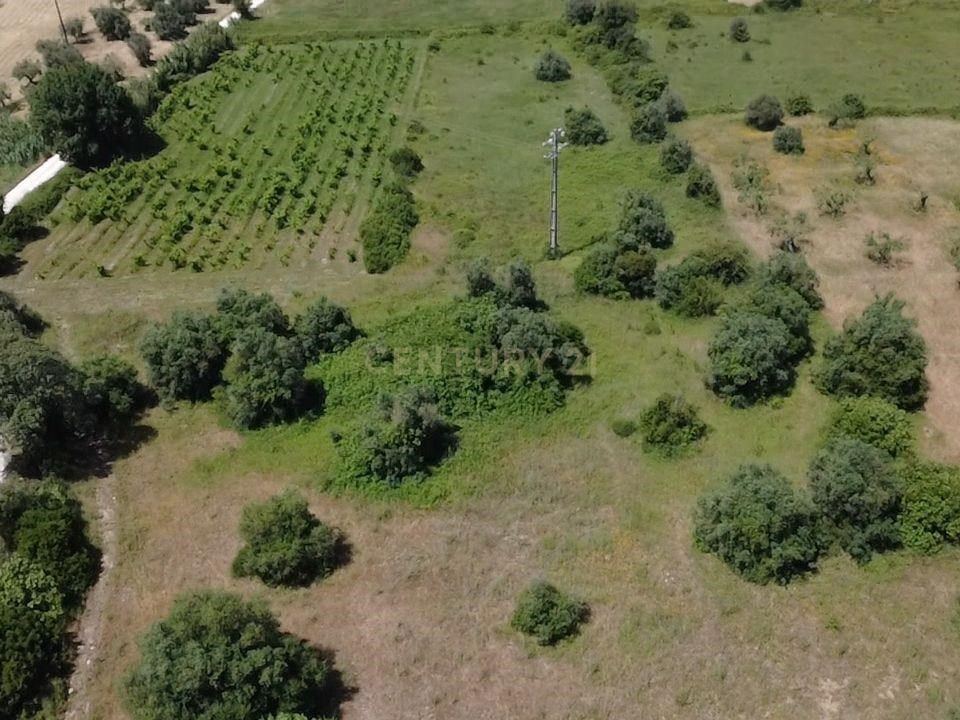 Helårsgrund i Olaia e Paco, Santarem - foto 1