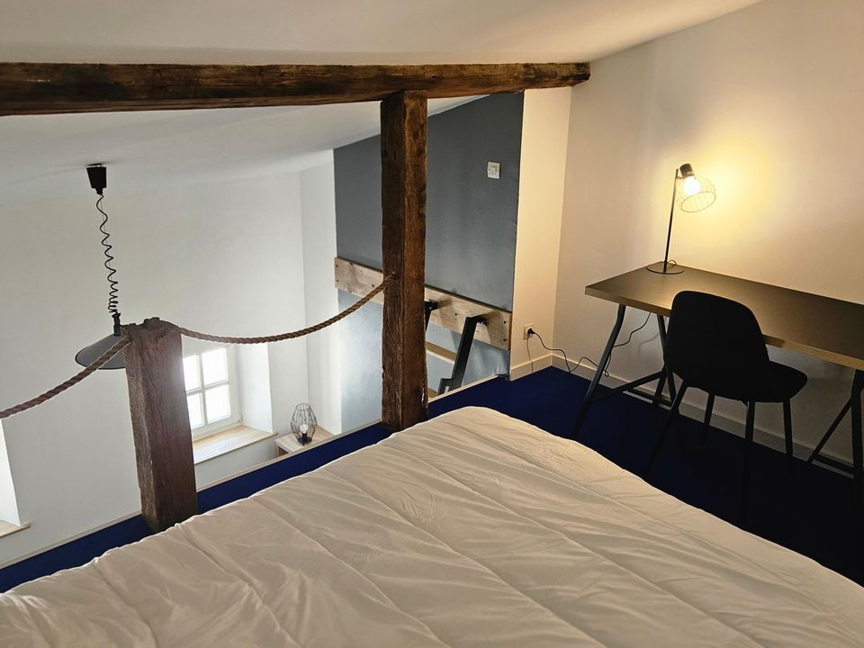 Studio i Nancy, Meurthe-et-Moselle - foto 3