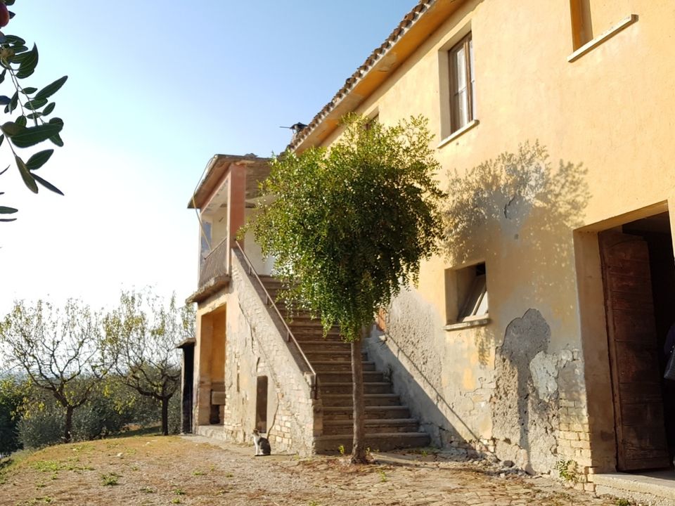 Masia a Monsampolo del Tronto, Ascoli Piceno - foto 1