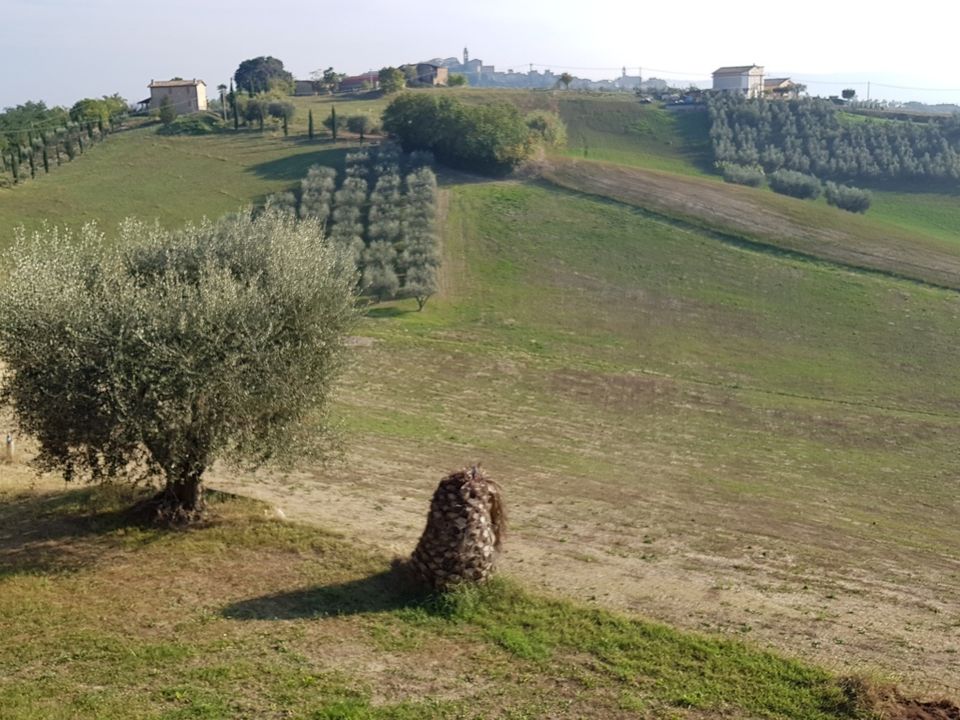 Masia a Monsampolo del Tronto, Ascoli Piceno - foto 3