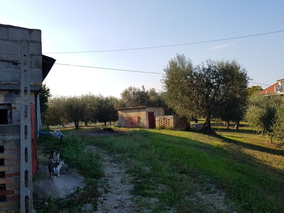 Masia a Monsampolo del Tronto, Ascoli Piceno - foto 5