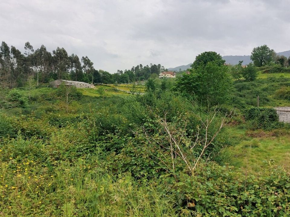 Helårsgrund i Vieira do Minho, Braga - foto 3