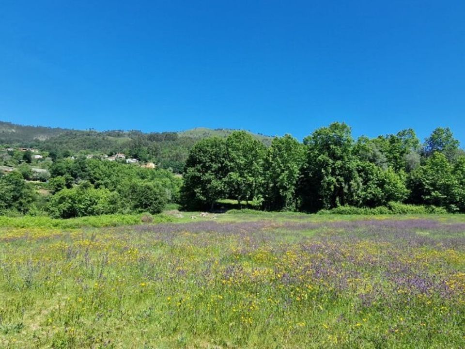 Helårsgrund i Vieira do Minho, Braga - foto 1