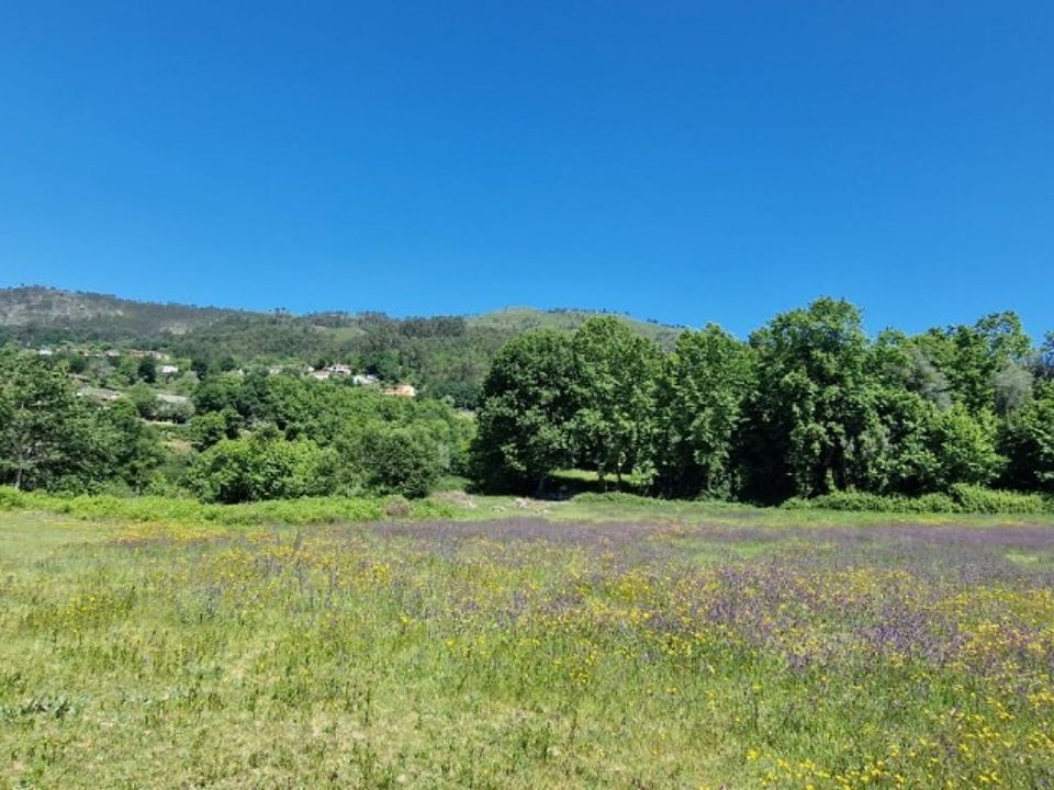 Helårsgrund i Vieira do Minho, Braga - foto 5