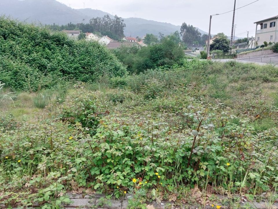 Helårsgrund i Vieira do Minho, Braga - foto 4