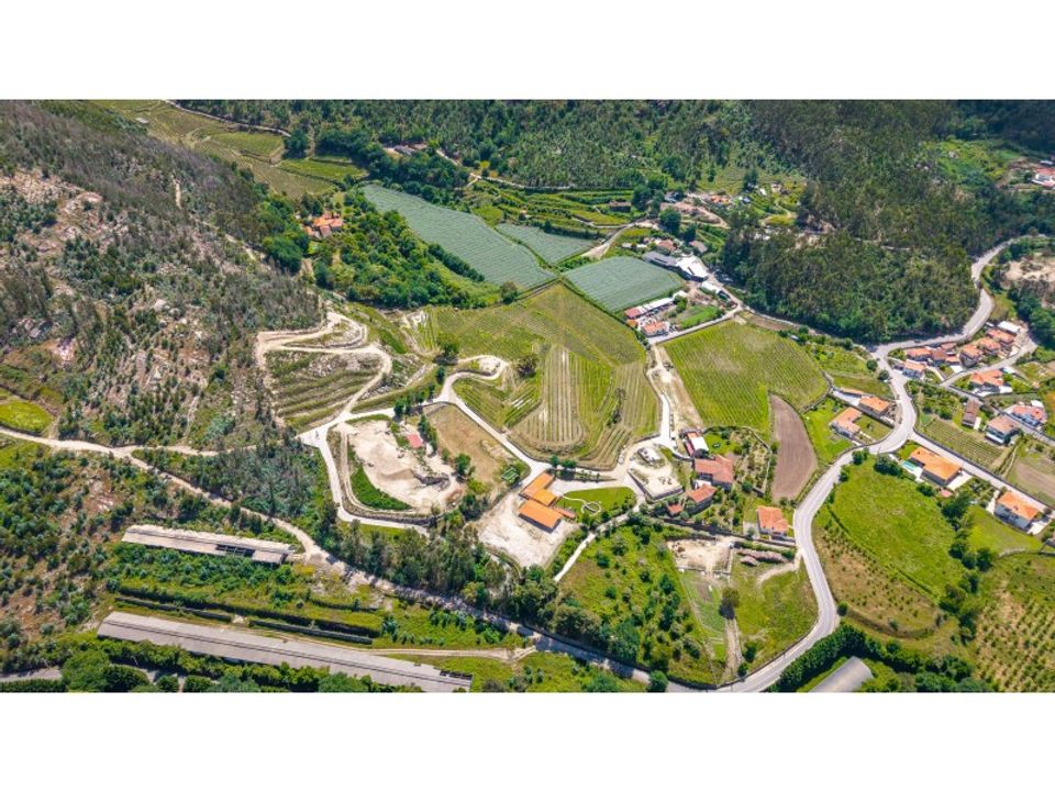 Farm i Guimaraes, Braga - foto 1
