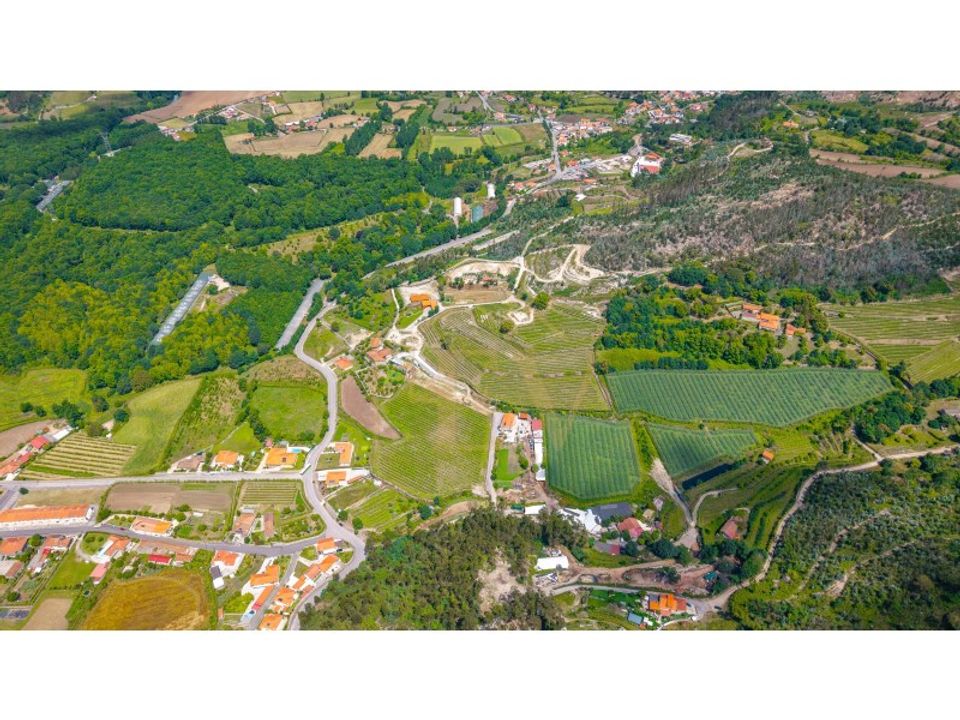Farm i Guimaraes, Braga - foto 2