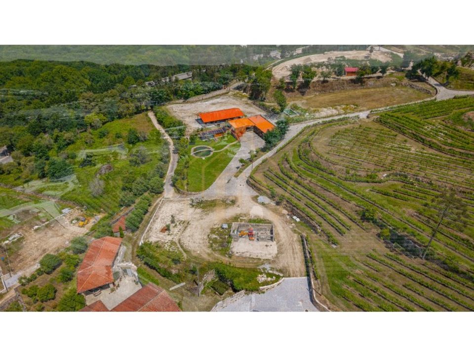 Farm i Guimaraes, Braga - foto 3