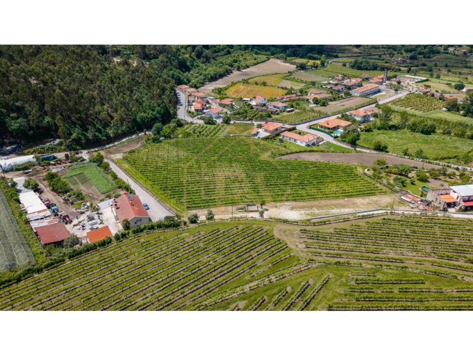 Farm i Guimaraes, Braga - foto 5