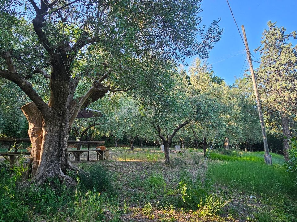 Villa i Jesi, Ancona - bilde 5