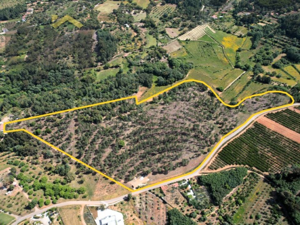 Tomt i Fatela, Castelo Branco - bilde 1
