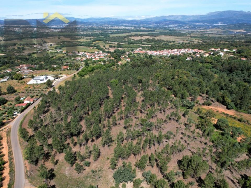 Tomt i Fatela, Castelo Branco - bilde 3