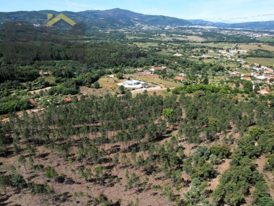 Tomt i Fatela, Castelo Branco - bilde 5